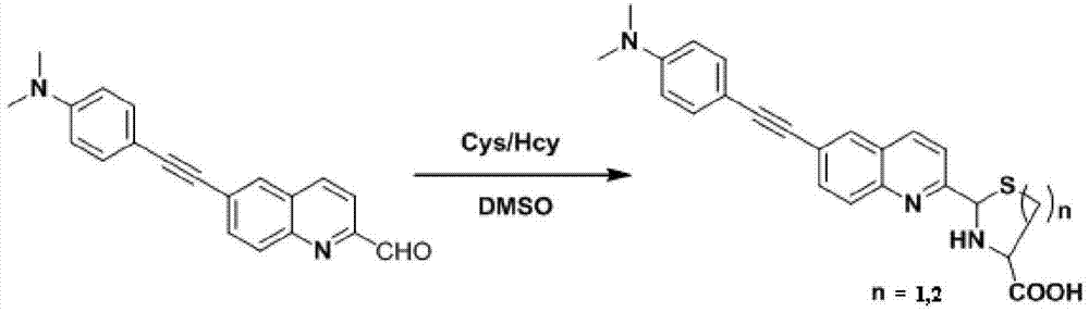 Two-photon fluorescent probe as well as preparation method and application thereof