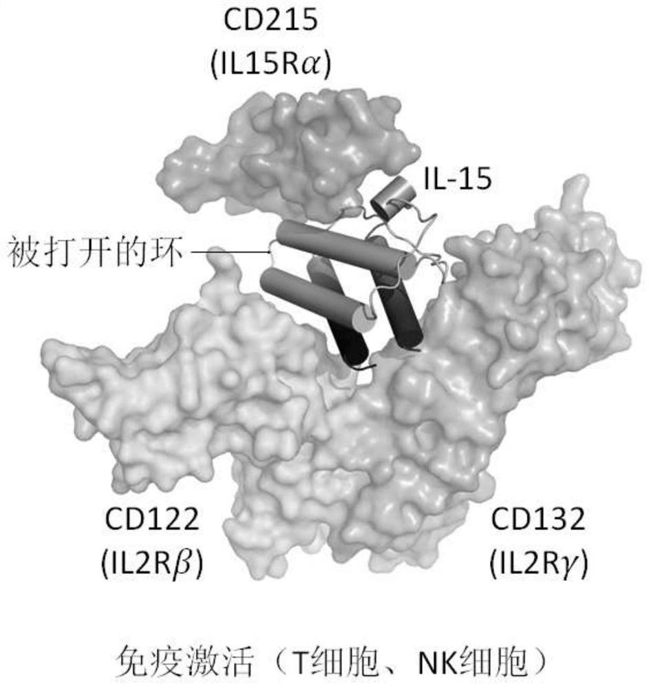 Fusion polypeptides and uses thereof