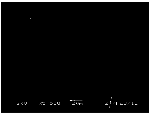 Polyether sulfone water-based sizing agent and preparation method thereof