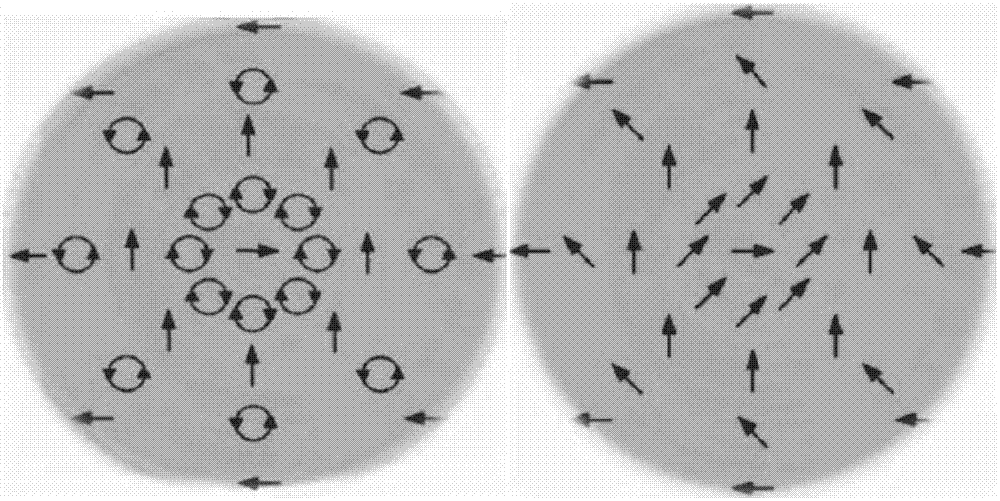 Dual-imaging method and system based on radial polarization characteristic of vector optical field