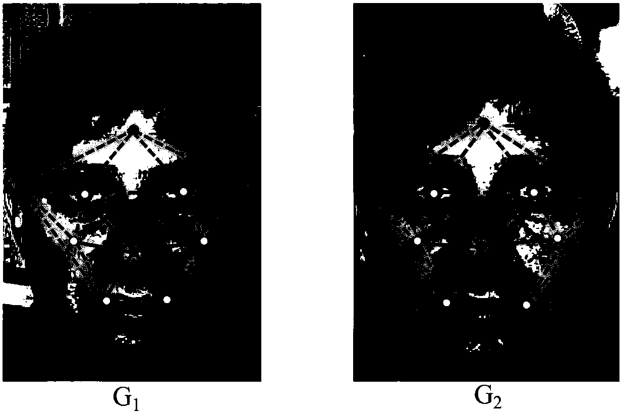 A Graph Matching Method with Windowed Dynamic Space Regularization