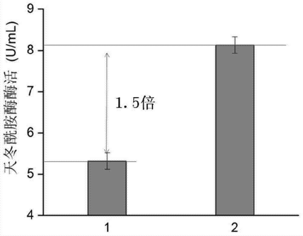 Signal peptide capable of improving secretion efficiency, and applications thereof