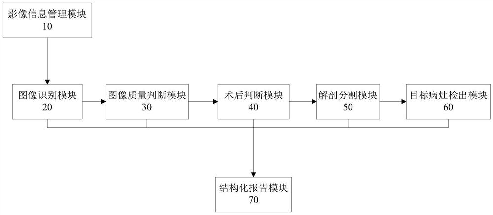 Intelligent calculus detection system and method through urinary system X-ray plain film