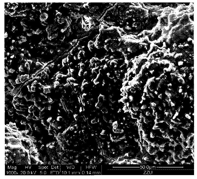 Sliding plate antioxidation paint and preparation method thereof