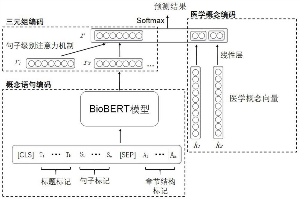 Medical relationship extraction method and device