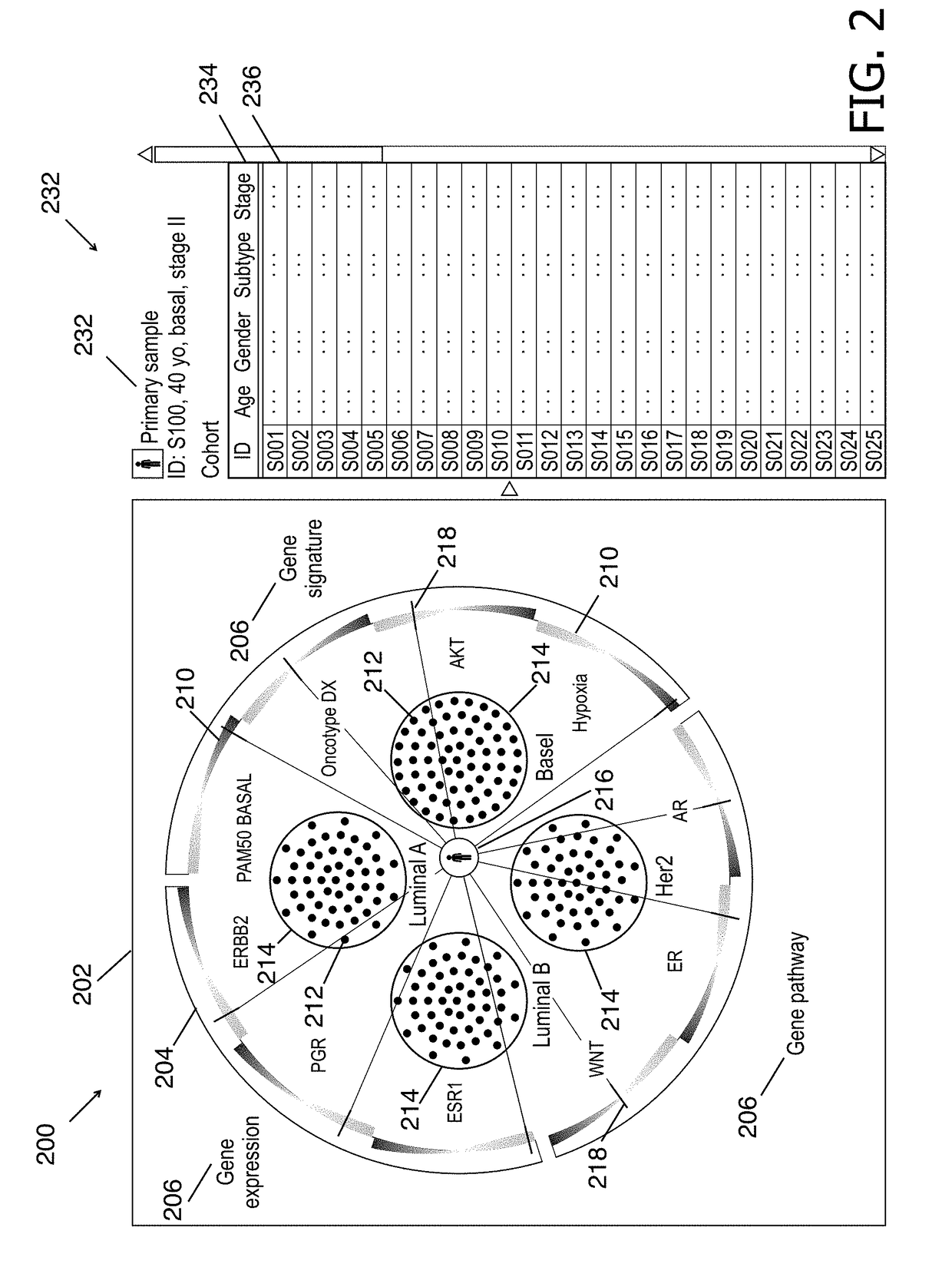 Cohort explorer for visualizing comprehensive sample relationships through multi-modal feature variations