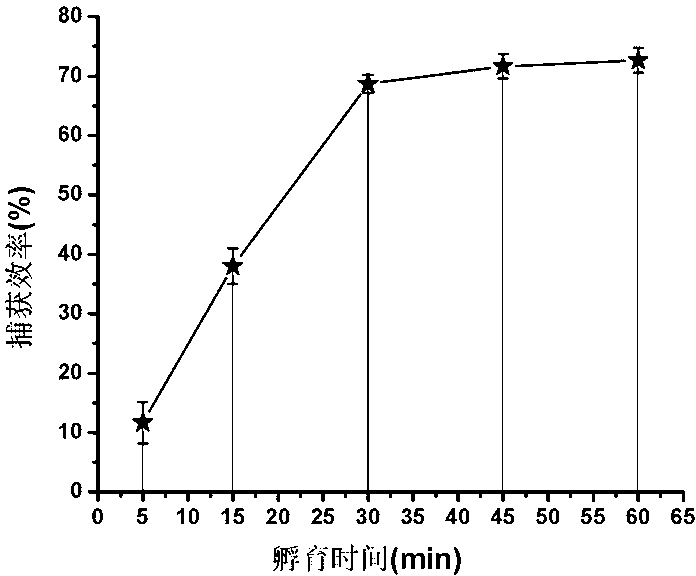 Nitrocellulose-membrane-based chip for conveniently capturing cancer cells