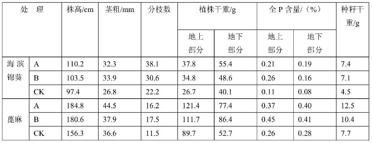 Special microbial fertilizer for seaside solonchak, and preparation method and application of microbial fertilizer