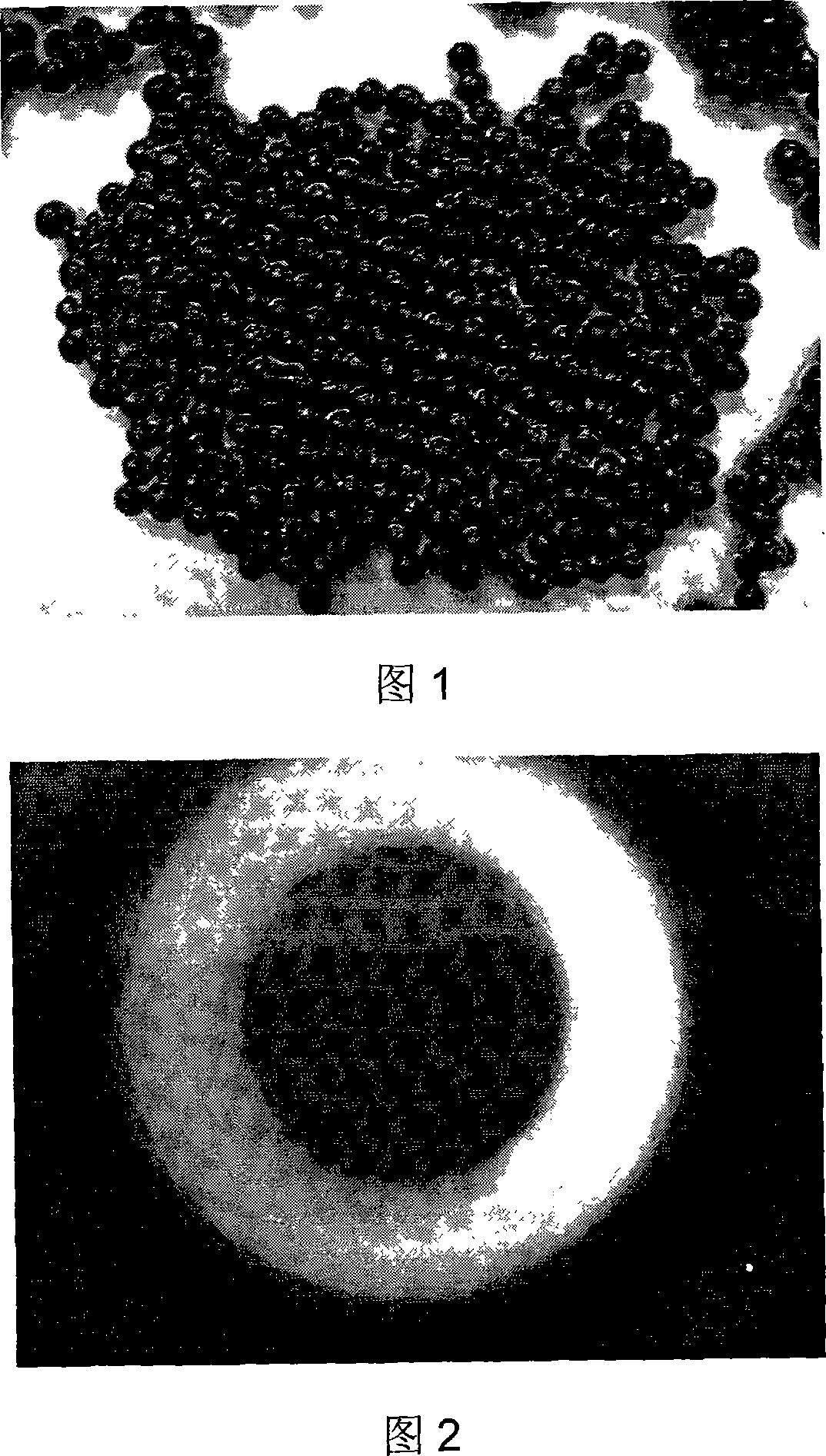 Solid composite micro-organism micro-balloon for organic contaminant biodegradation and method for preparing the same