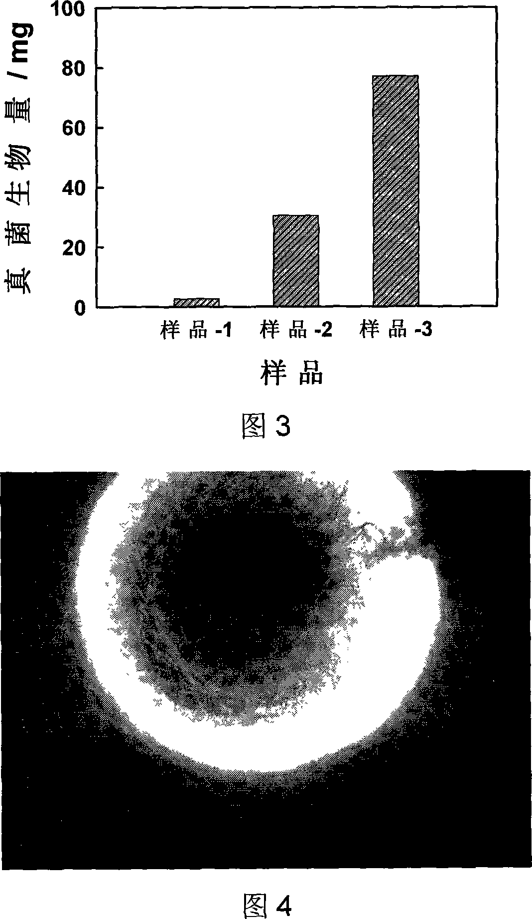 Solid composite micro-organism micro-balloon for organic contaminant biodegradation and method for preparing the same