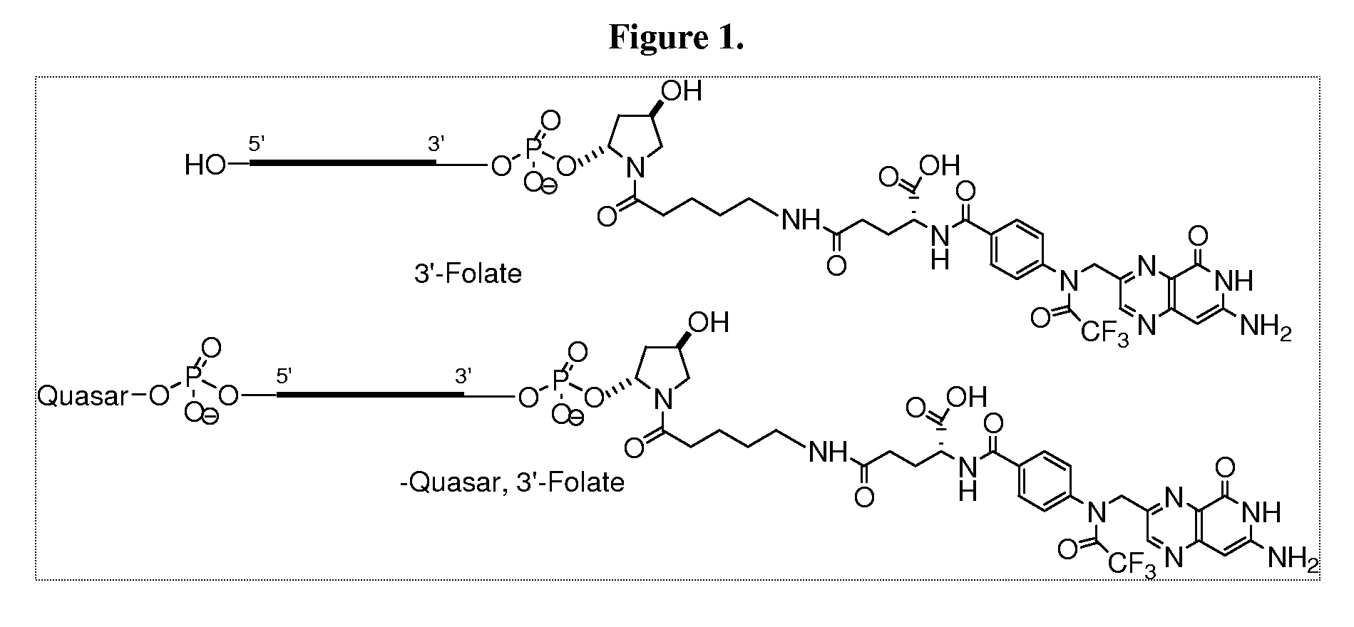 Folate Conjugates