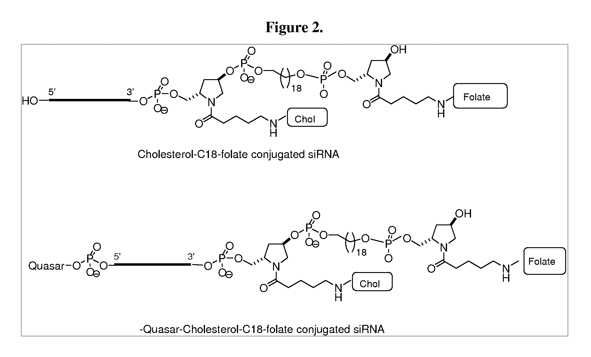 Folate Conjugates