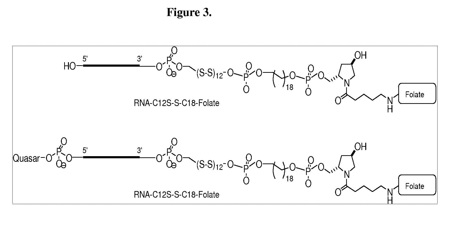 Folate Conjugates