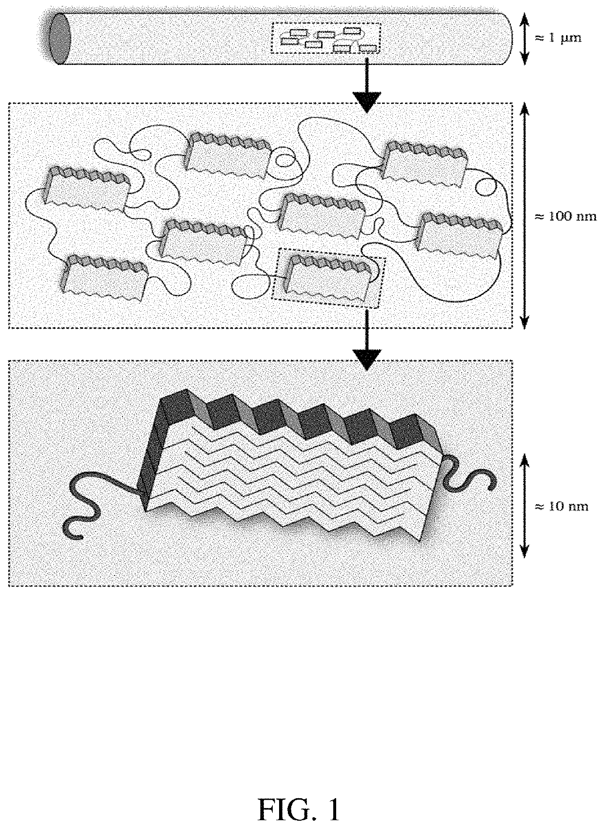 Methods of generating highly-crystalline recombinant spider silk protein fibers