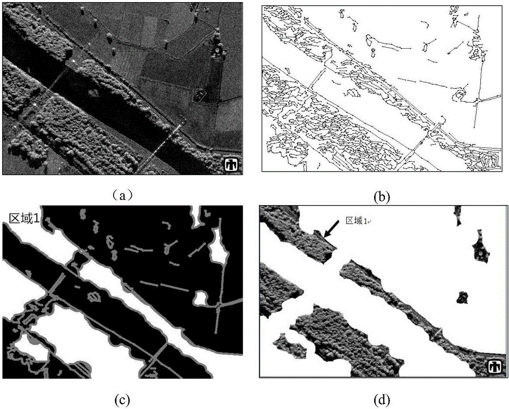 SAR image segmentation method based on ridgelet filters and convolution structure model