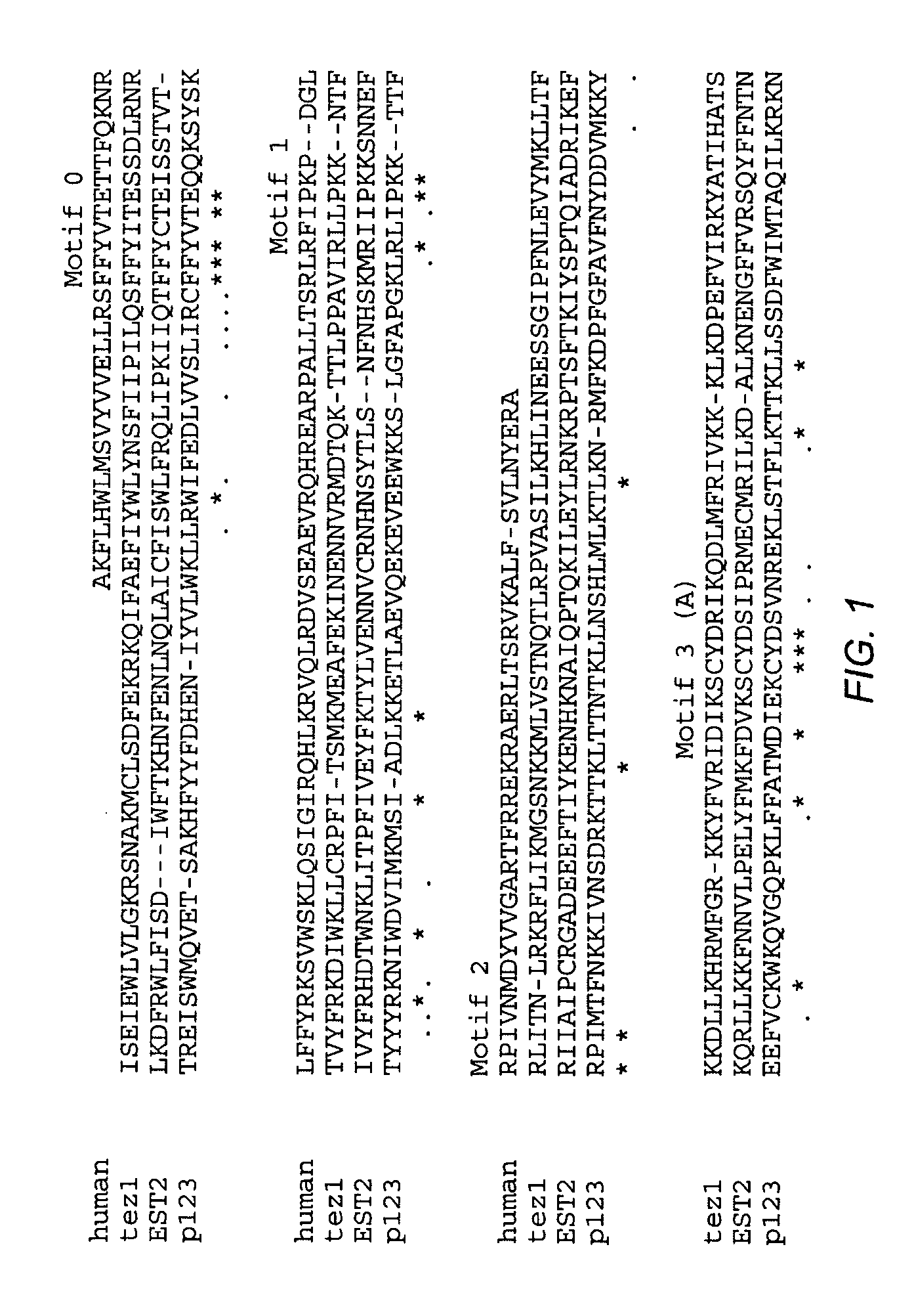 Methods for detection of human telomerase reverse transcriptive protein