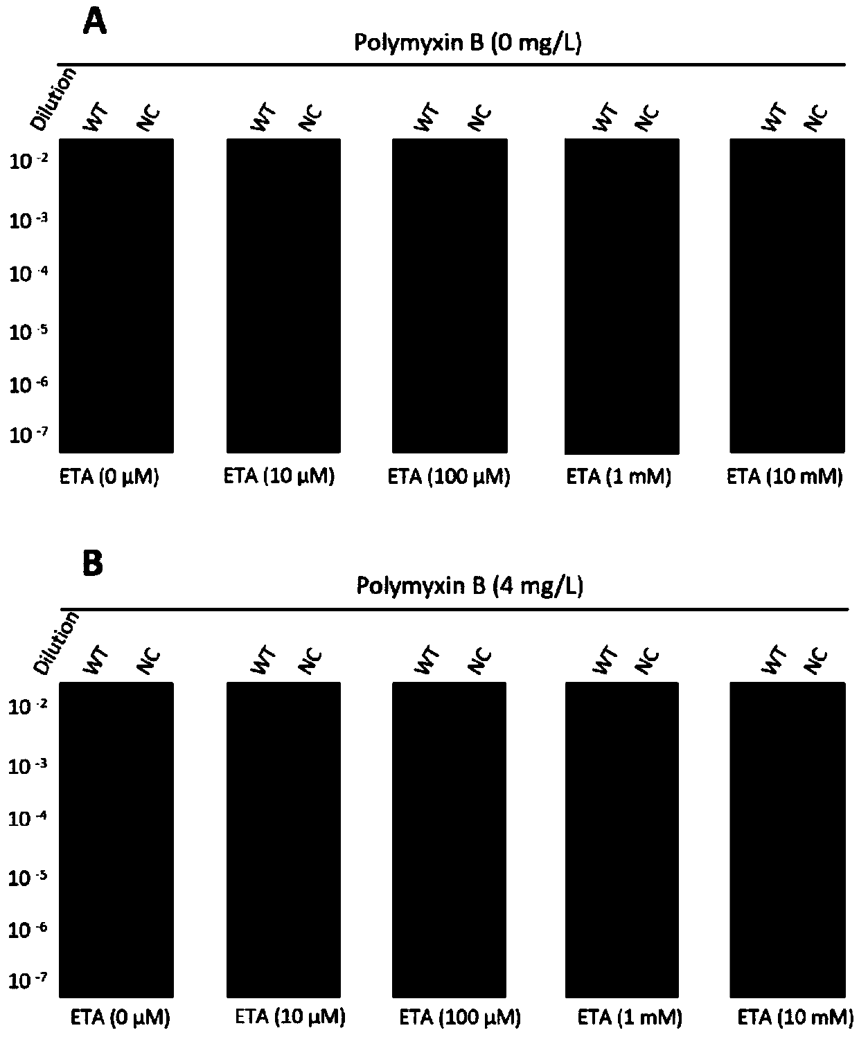 Small-molecule inhibitor for polymyxin drug resistance proteins and application thereof