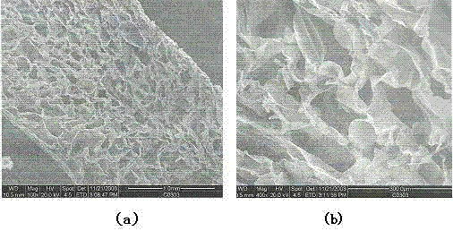 A kind of preparation method of cross-linked chitosan/hyaluronic acid composite porous scaffold