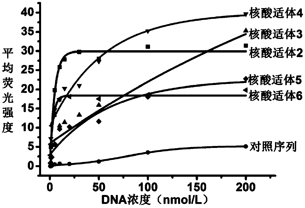 A nucleic acid aptamer for recognizing doxorubicin-resistant breast cancer cells and its screening method and application