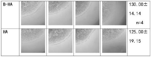 Novel application of hyaluronic acid fragment and stable making method