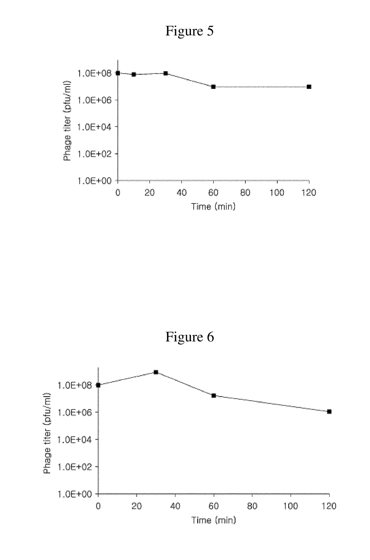 Bacteriophage and antibacterial composition comprising the same