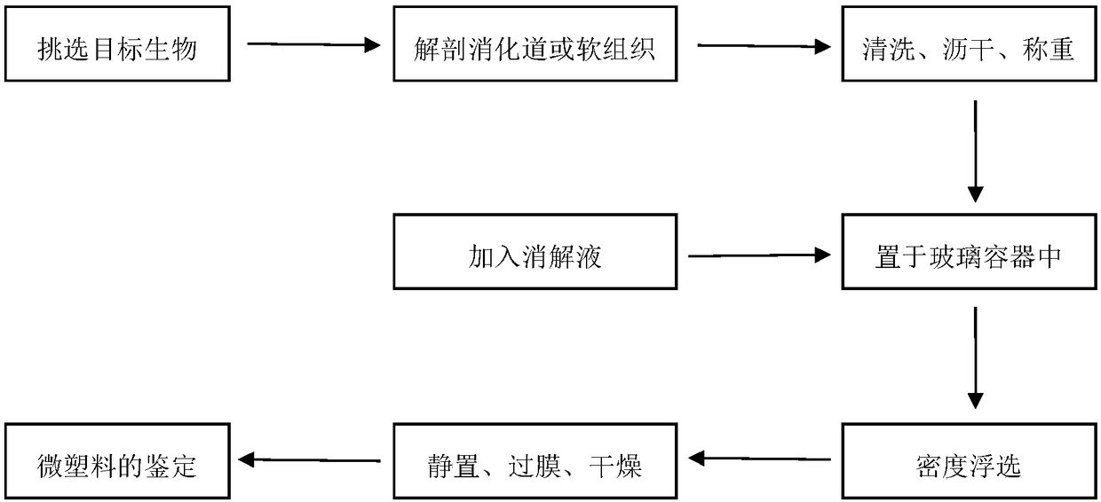 Method for detecting density distribution of micro-plastics in soft tissues of marine organisms