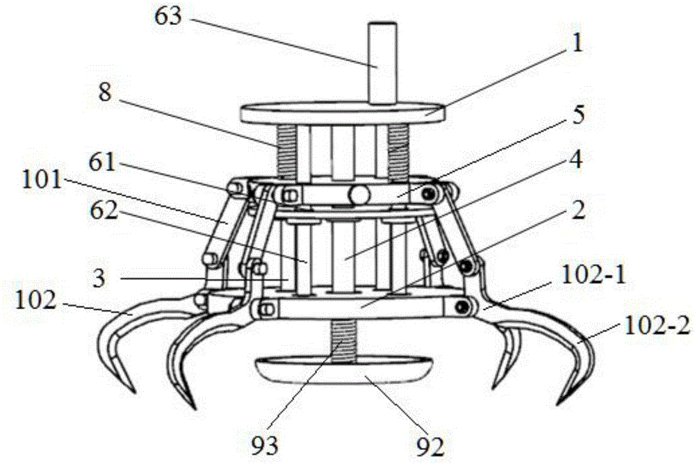 Interconnected elastic mechanical gripper