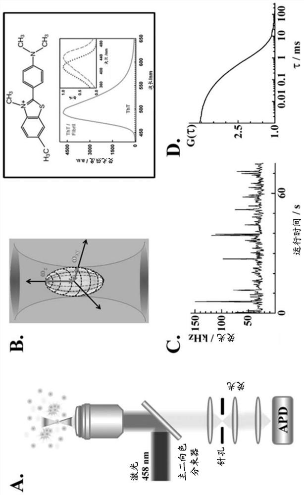 Method for the diagnosis of amyloid-associated diseases