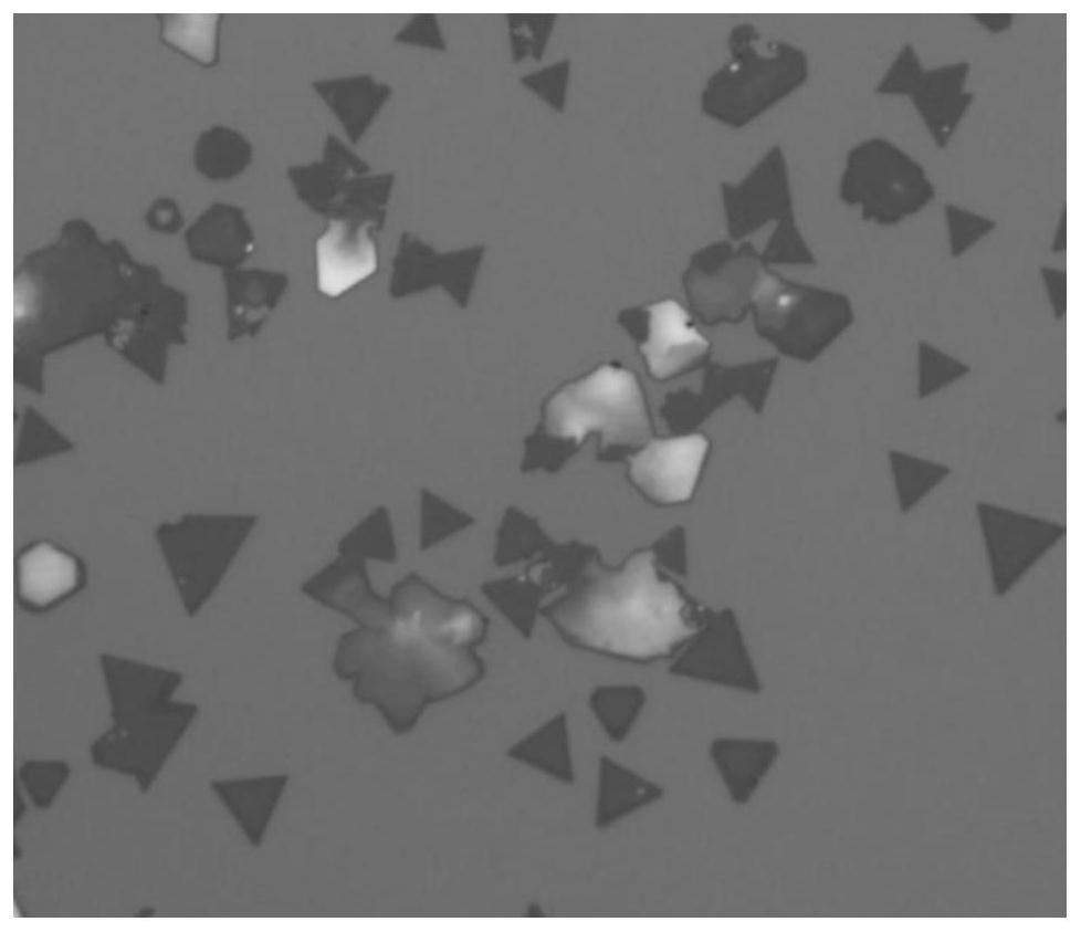 A two-dimensional molybdenum ditelluride vertical heterojunction and its preparation method and application