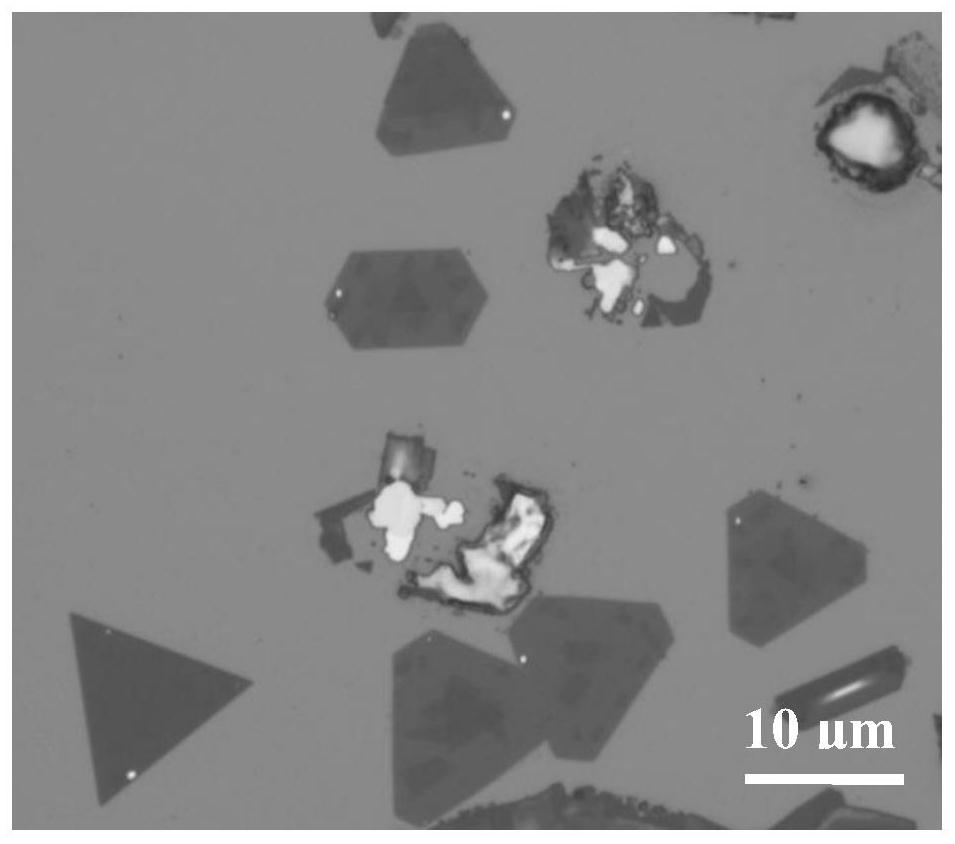 A two-dimensional molybdenum ditelluride vertical heterojunction and its preparation method and application