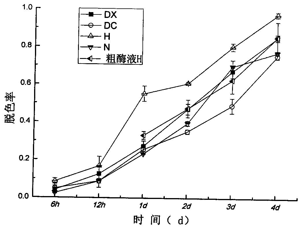 A kind of separation optimization method and application of laccase-producing fungal strain