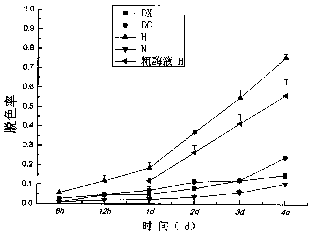 A kind of separation optimization method and application of laccase-producing fungal strain