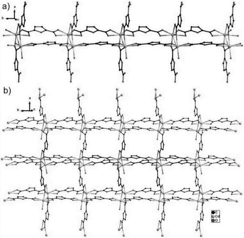 Cd (II) metallic organic complex and preparation method thereof