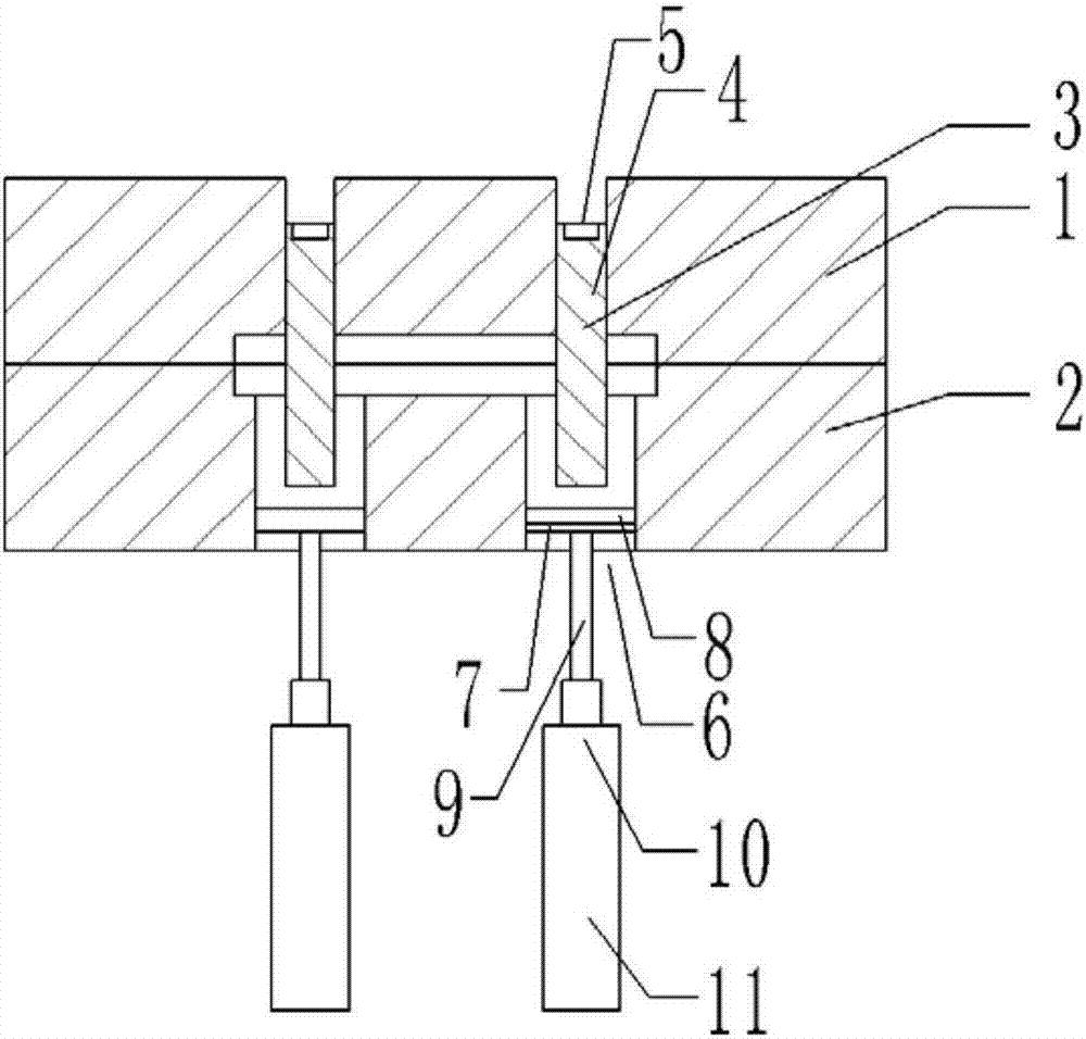 Tray mold capable of achieving injection molding of multiple bottom feet