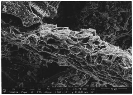 Licorice root residue graded porous carbon, preparation method and applications thereof