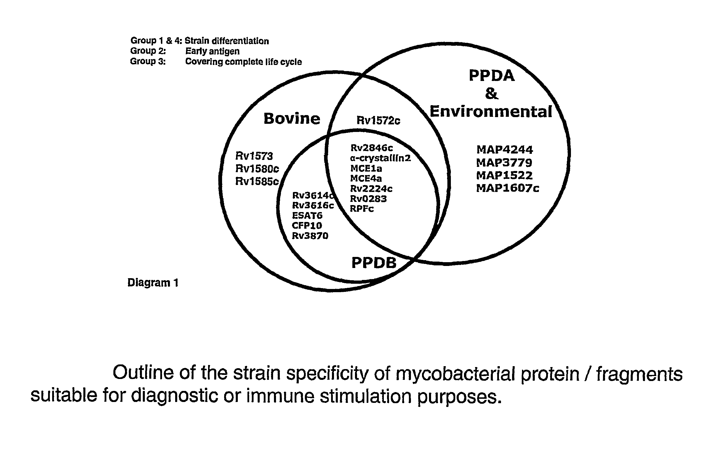 Assays for diagnosis of tuberculosis and uses thereof