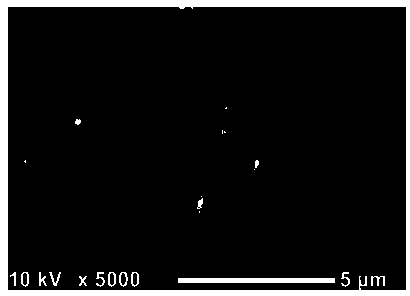 Preparation method for ceramic coating separator