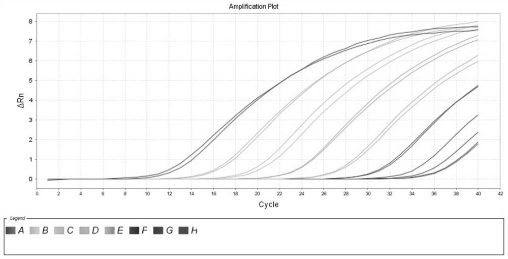 Novel goose astrovirus and duck tembusu virus multiplex fluorescent quantitative PCR detection primer probe set, kit and application