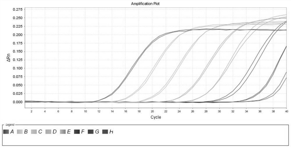 Novel goose astrovirus and duck tembusu virus multiplex fluorescent quantitative PCR detection primer probe set, kit and application