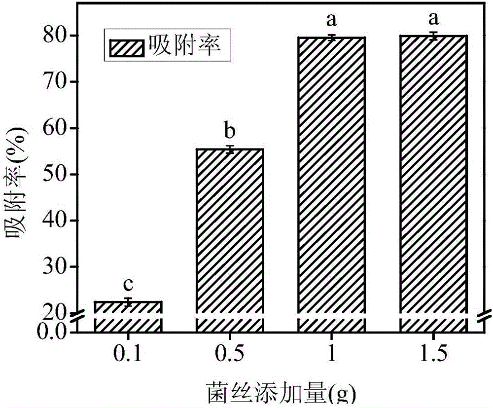 Trichoderma asperellum and application thereof in remediation for heavy metal pollution