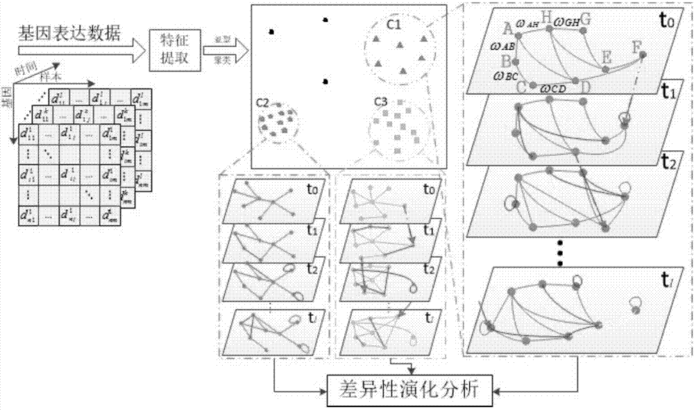 RNN-based gene regulatory network construction and dynamic differential analysis method