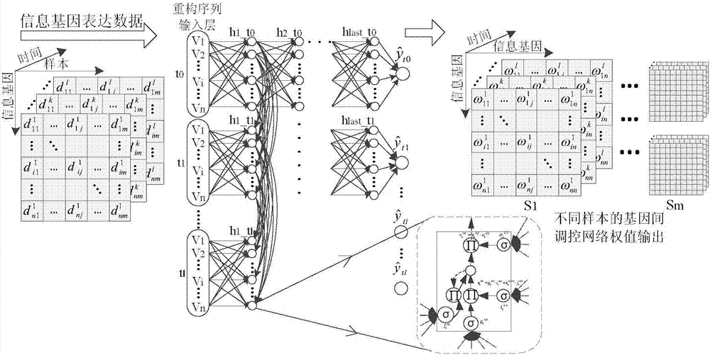 RNN-based gene regulatory network construction and dynamic differential analysis method