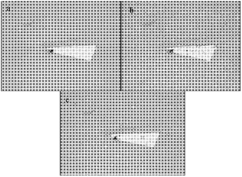 Method for detecting two dimensional nanostructured material film surface detect