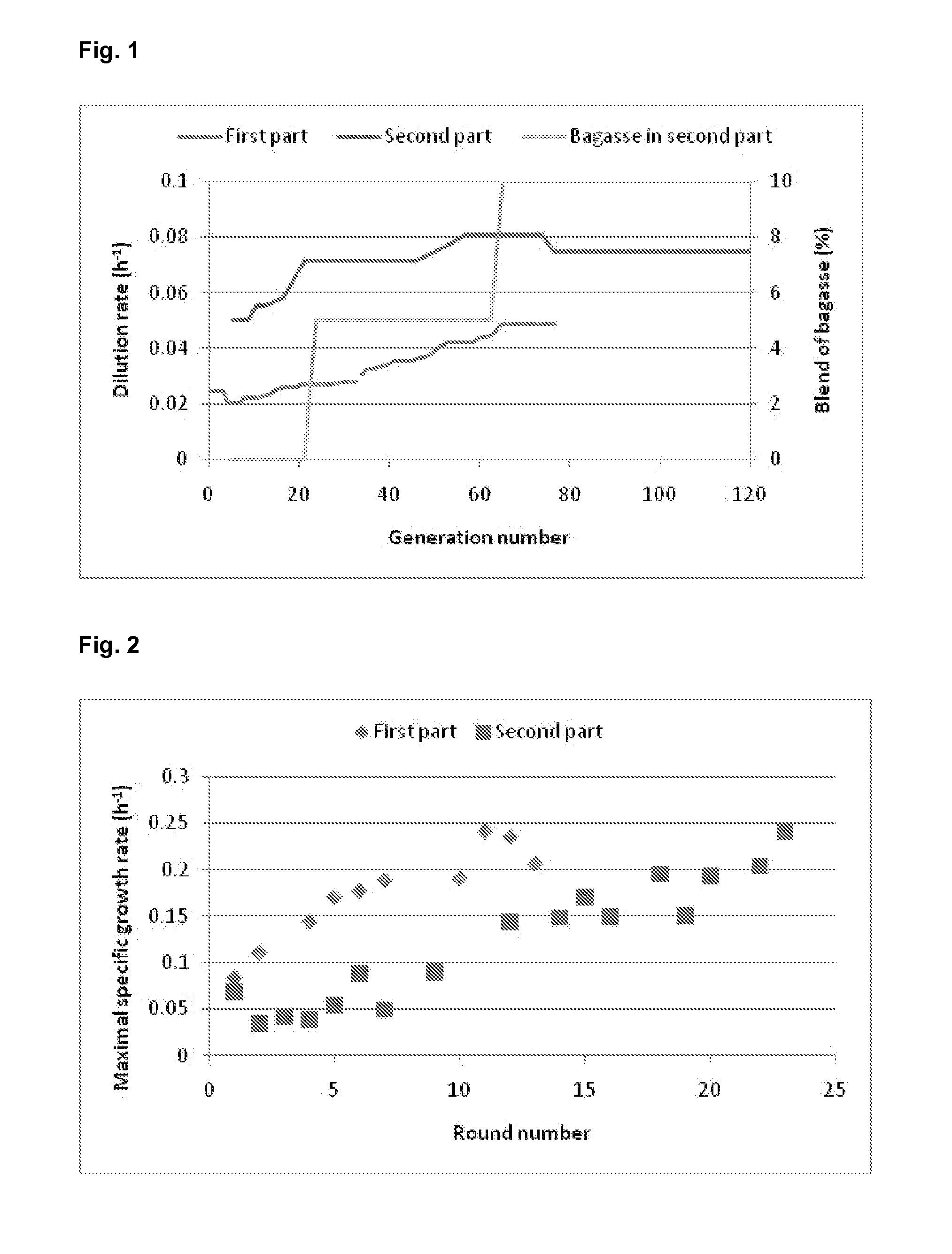 Saccharomyces cerevisiae strains