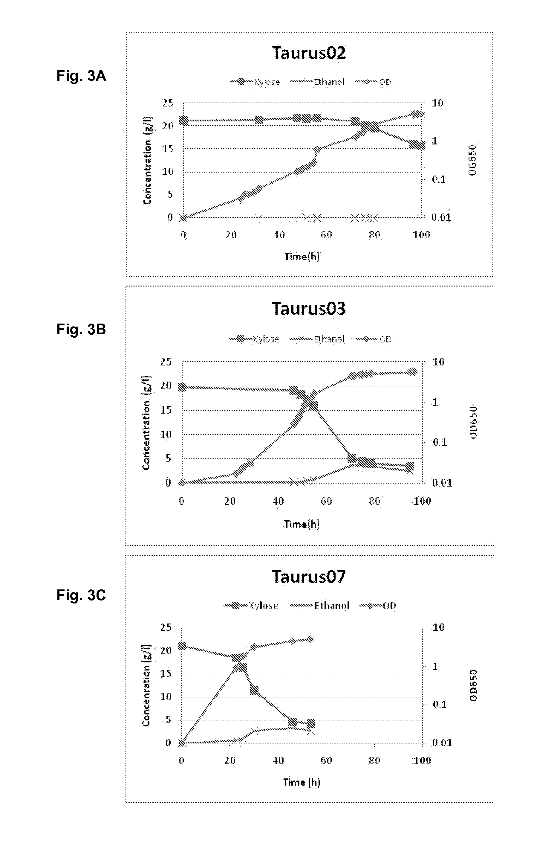 Saccharomyces cerevisiae strains