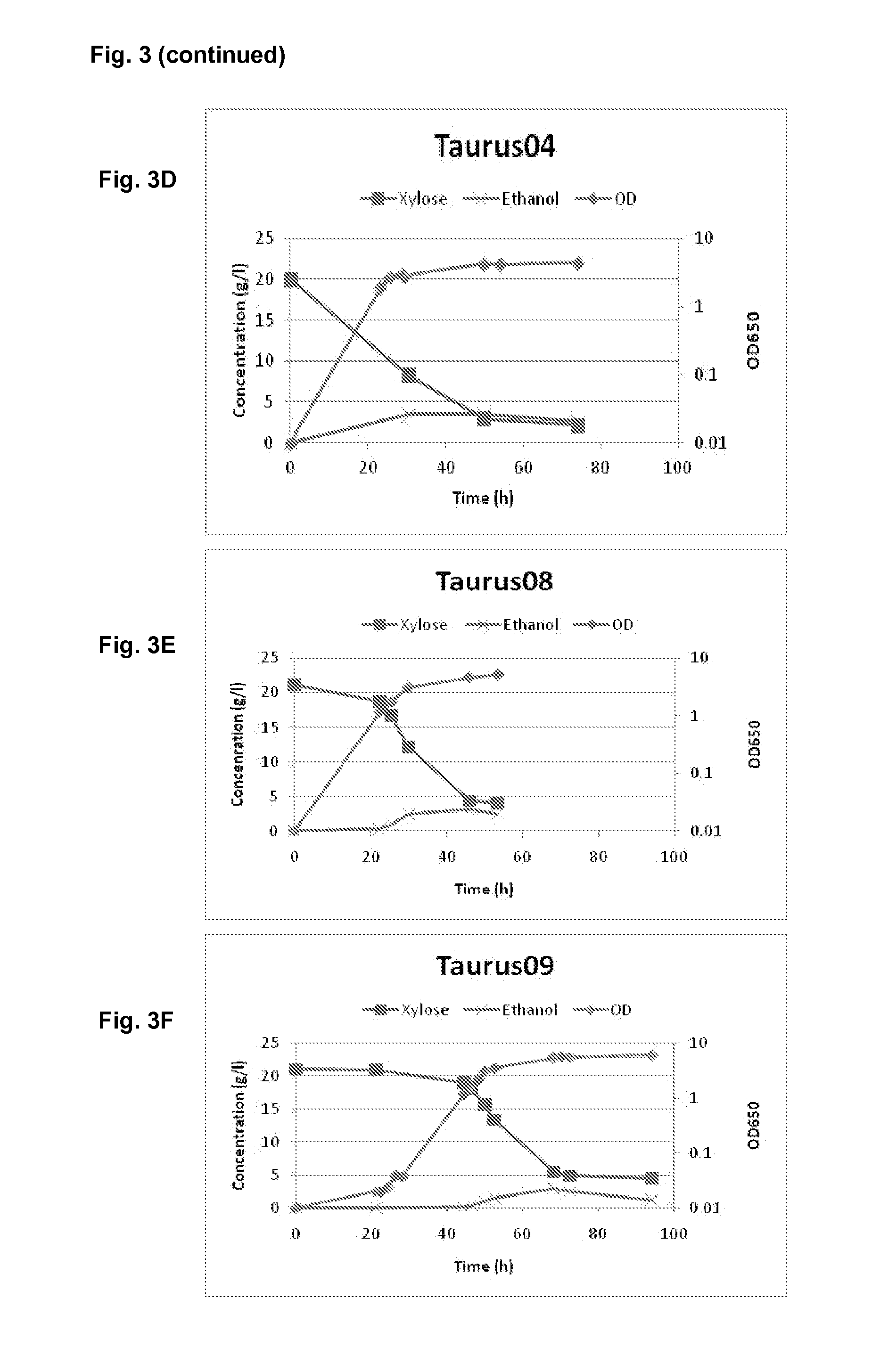 Saccharomyces cerevisiae strains