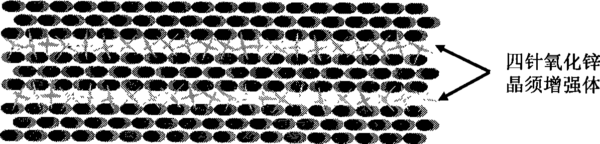 Method for preparing rigid three-dimensional crystal whisker interlayer modified continuous fiber composite material