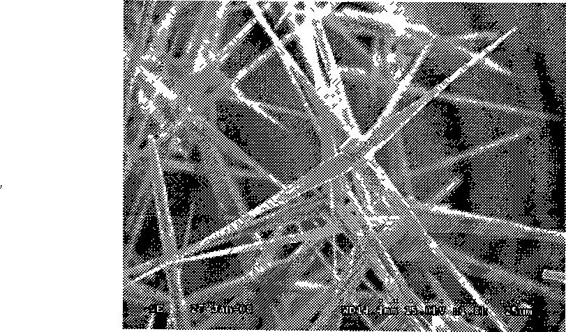 Method for preparing rigid three-dimensional crystal whisker interlayer modified continuous fiber composite material