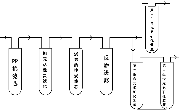 Life element mineralization apparatus