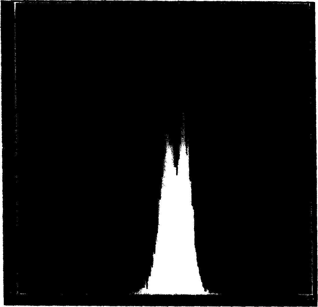 Method for separating XY germ cell of mammal